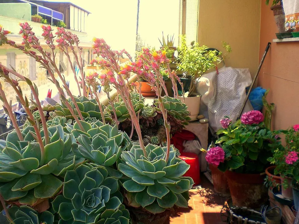 B&B Maya & Leo Janov Bed & Breakfast